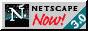 Netscape Navigator Logo